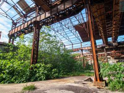 Un�intera parete � ricoperta da un imponente e smisurato albero di fico che si � appropriato di tutto lo spazio, andando ad abbracciare e quasi a �mangiare� le strutture in ferro
